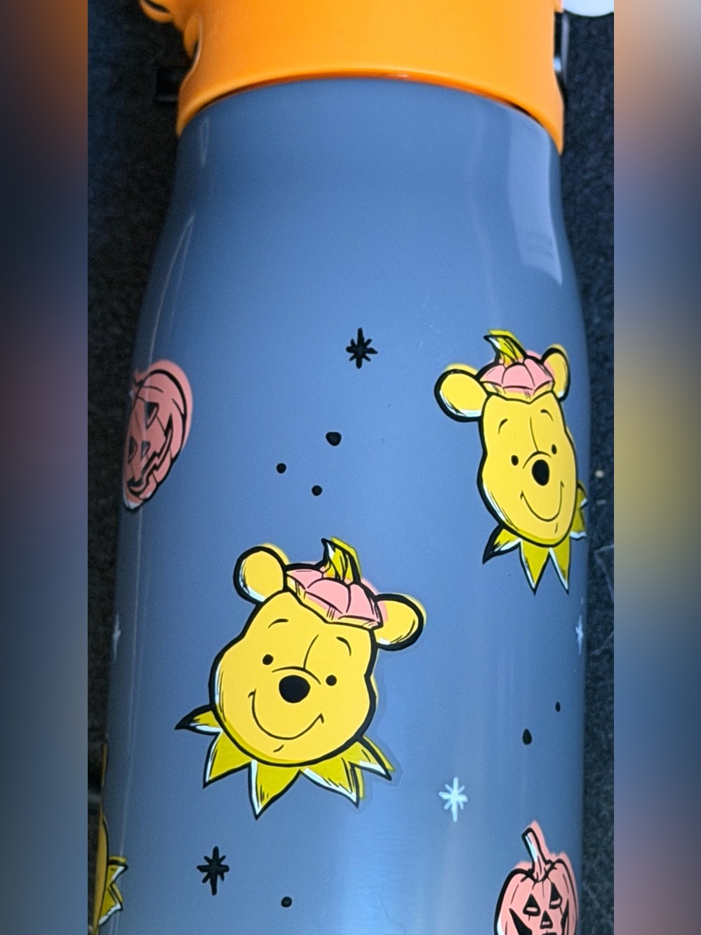 Winnie the Pooh water bottle